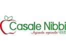 CASALE NIBBI