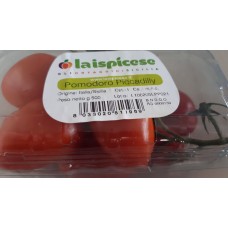 PICCADILLY TOMATOES 500 gr